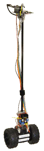 Inverted Pendulum